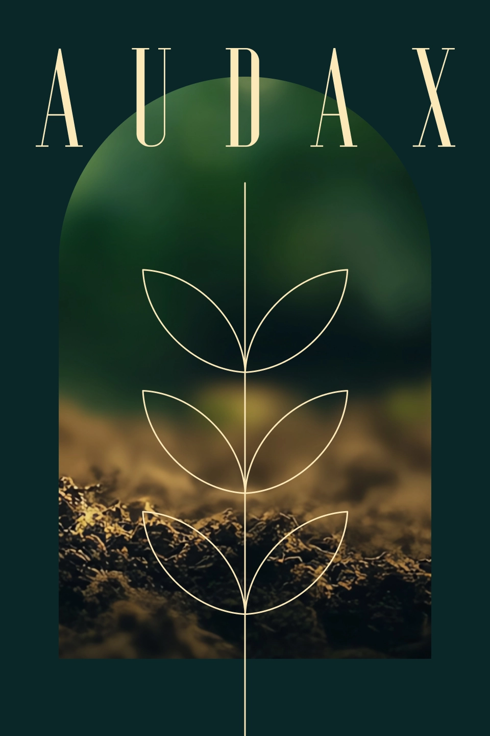 audax-home-foto4-v8
